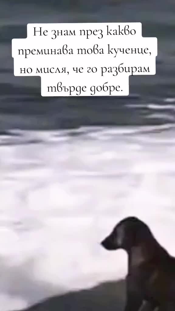 @Салих Врачов