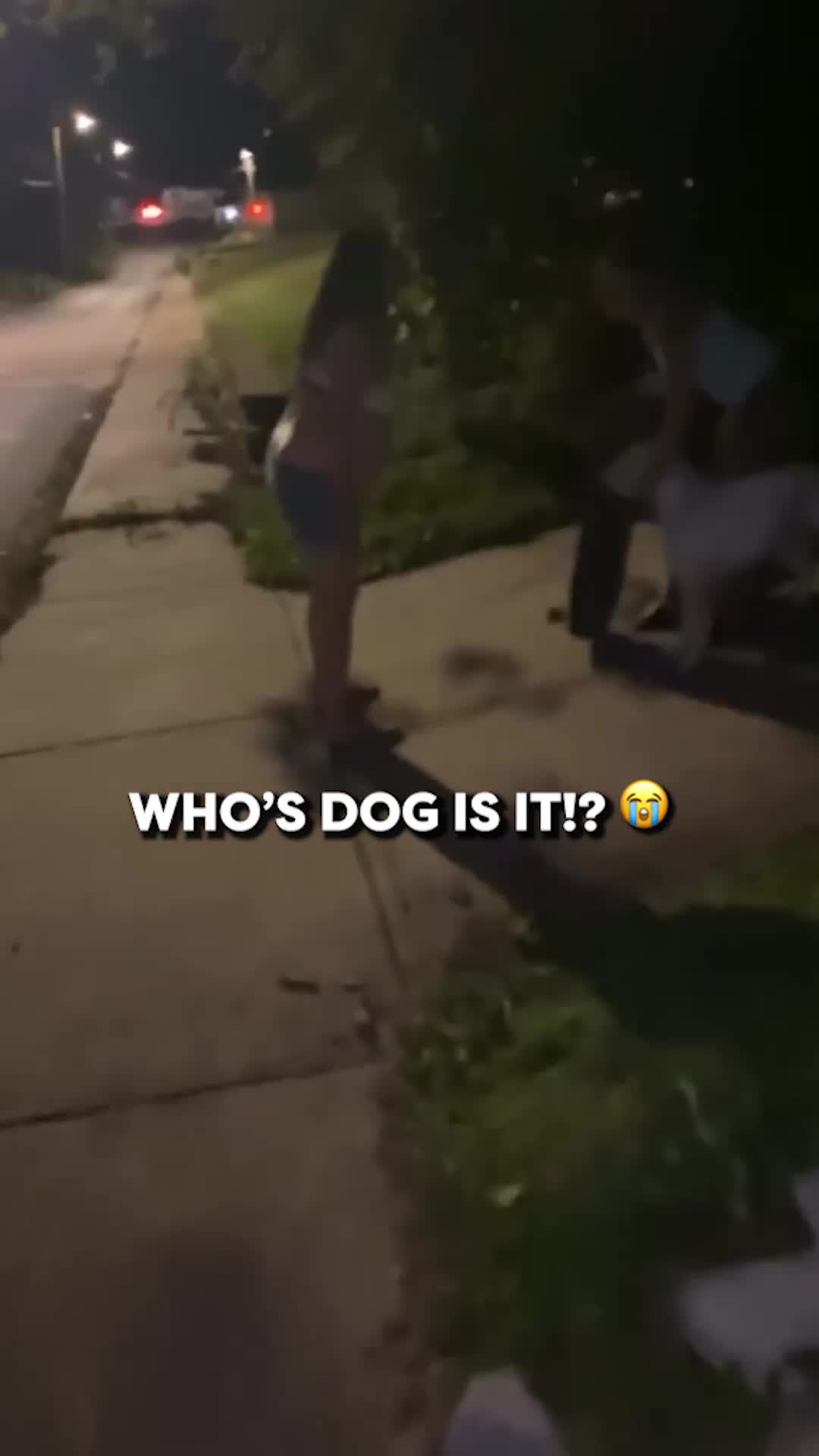 @Go Fetch