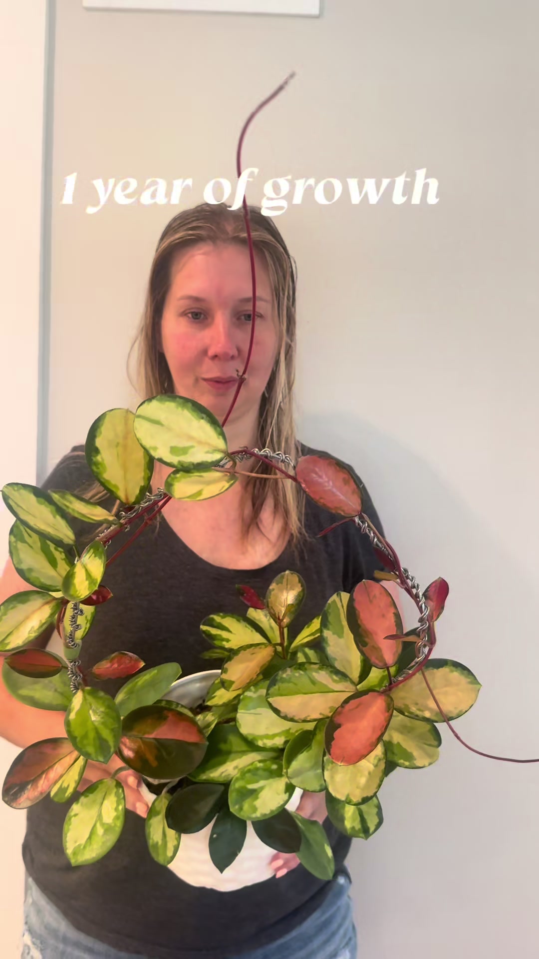 @ladylori_of_plants
