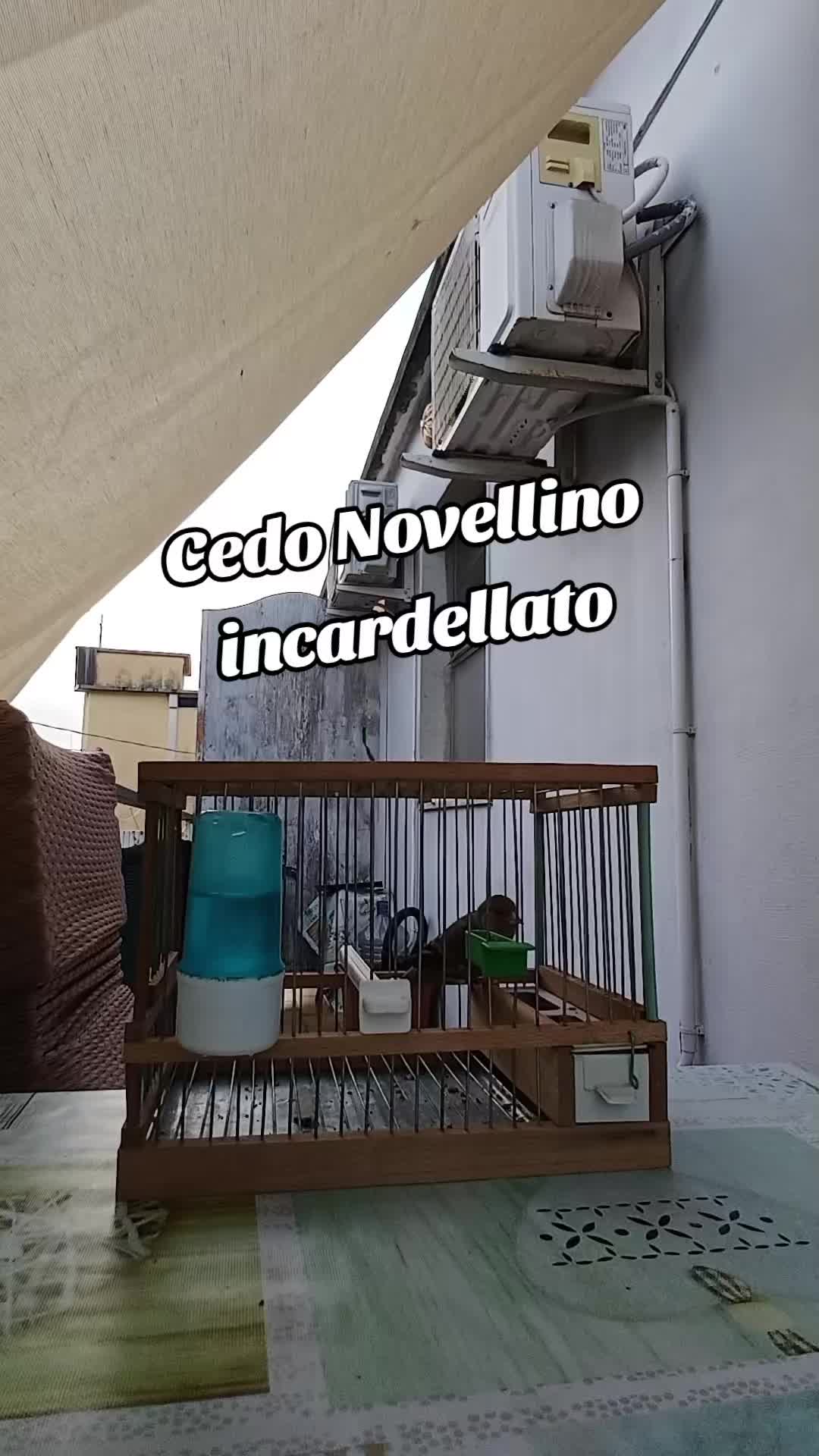 @Marco 80
