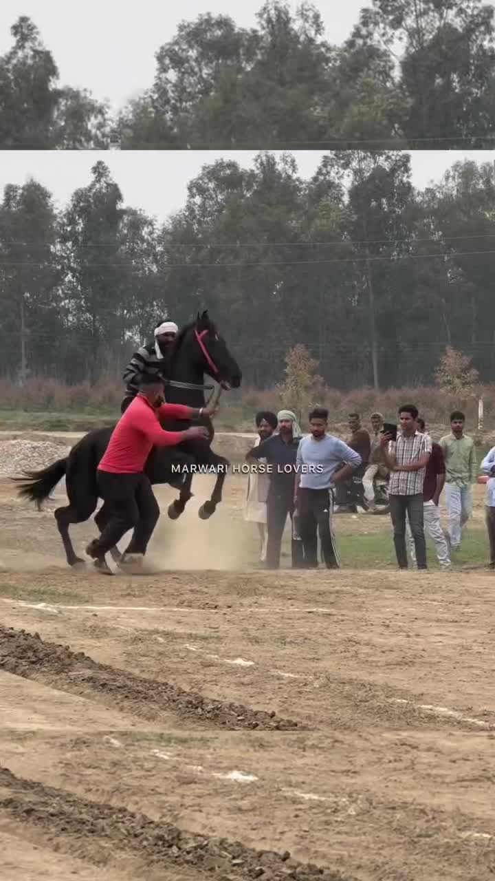 @🚩 راوی الہ 🚩