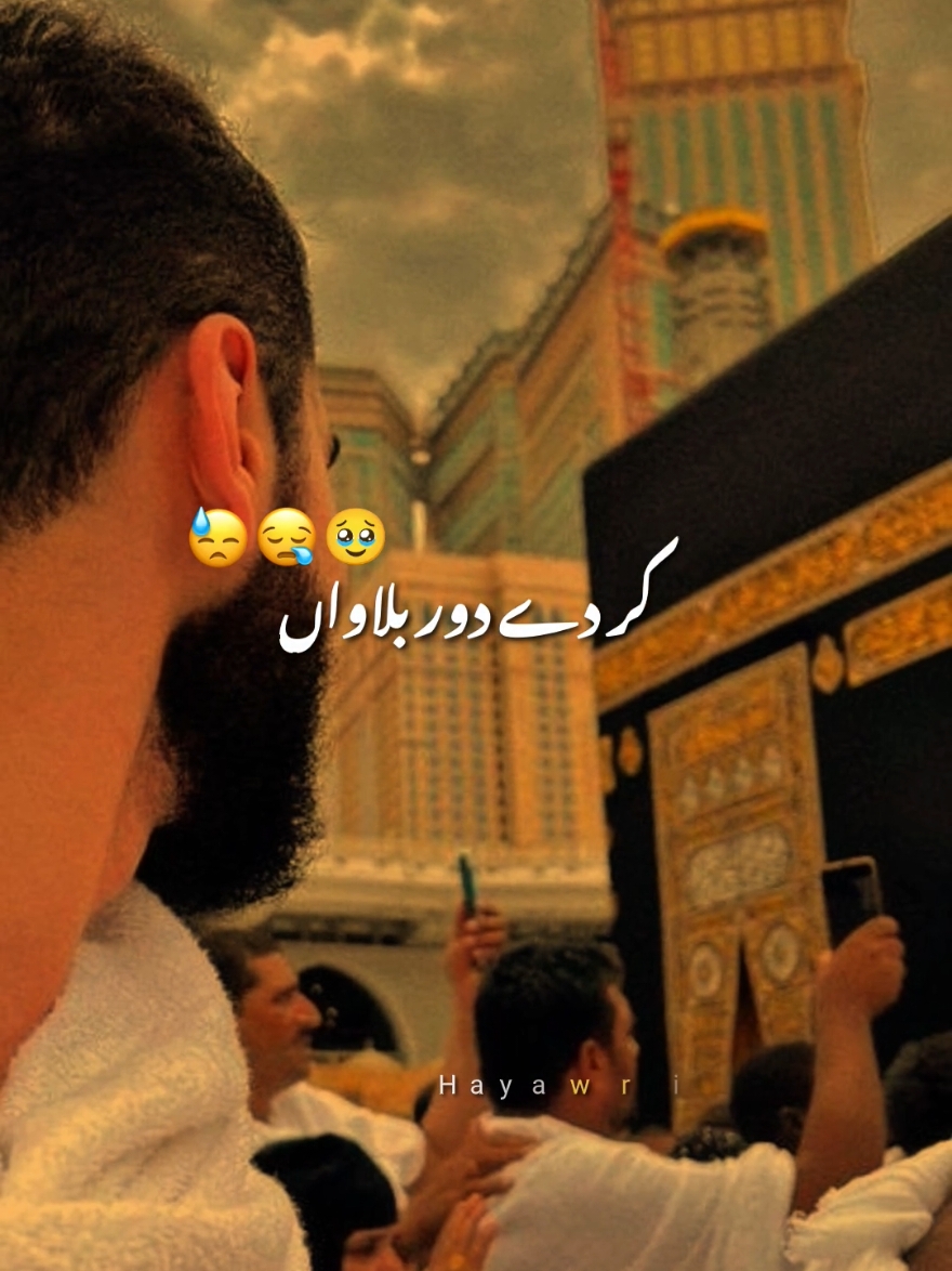 @Haya