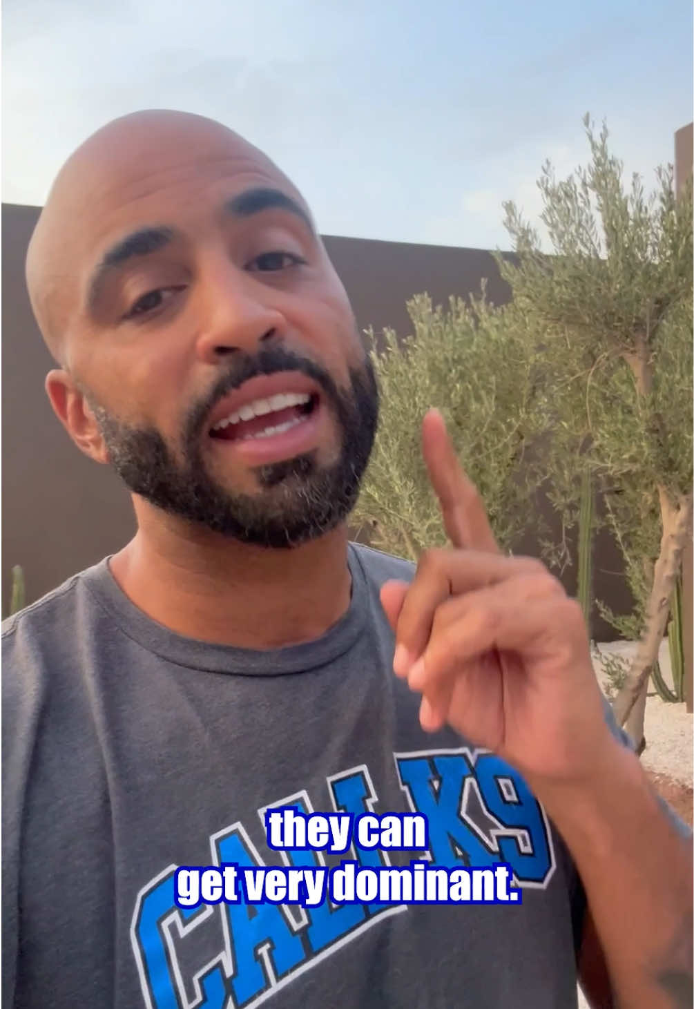 @Cali K9