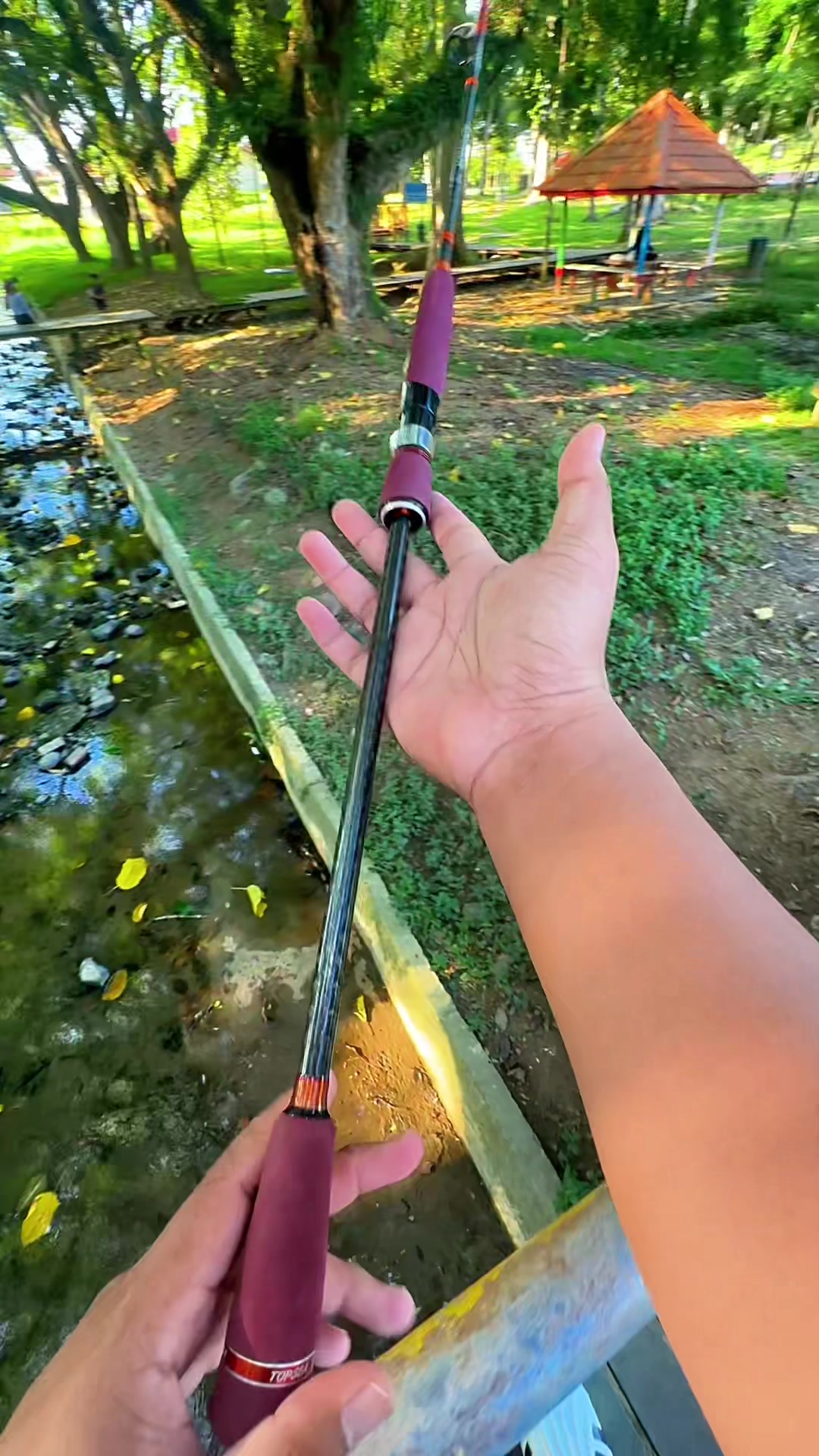 @Ariel Fishing
