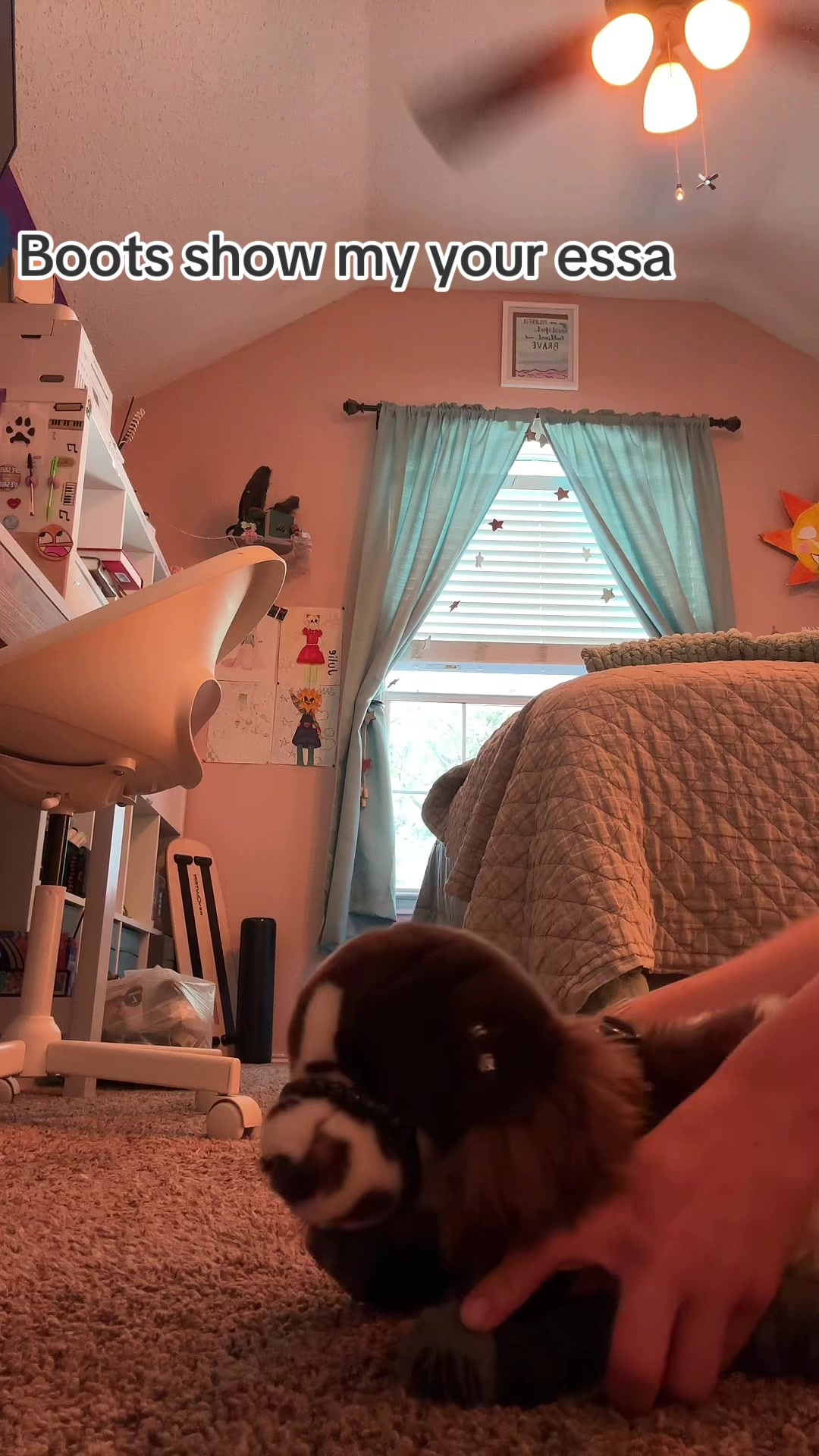 @pupplace