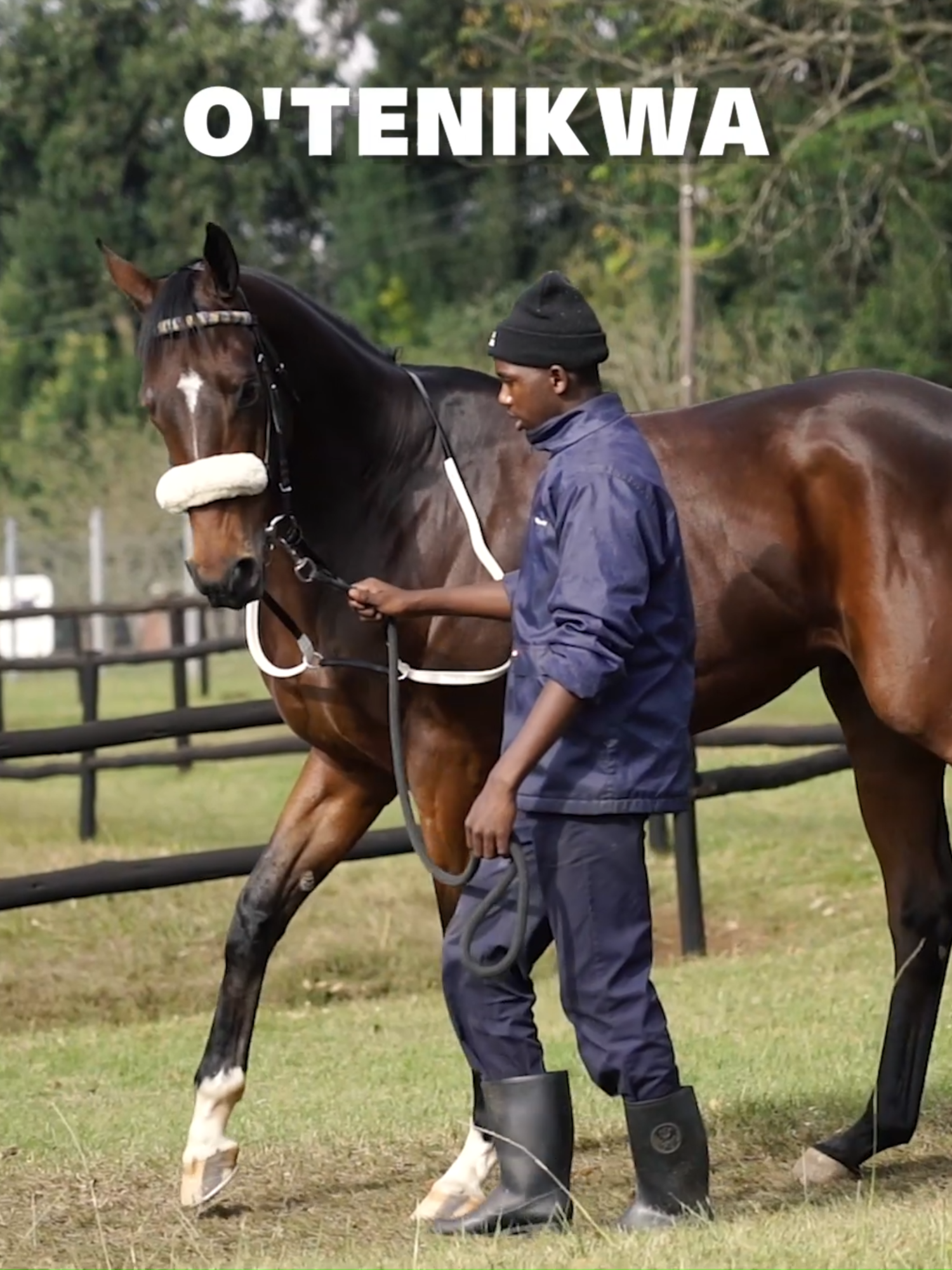 @Gallop TV