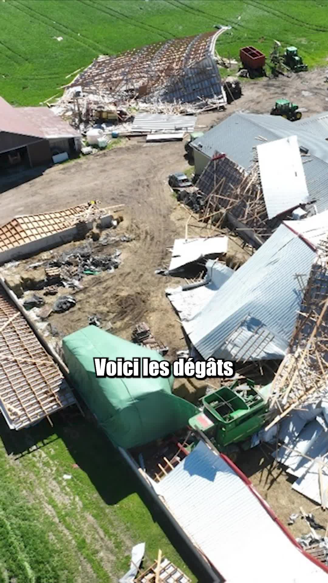 @Dix4 Info