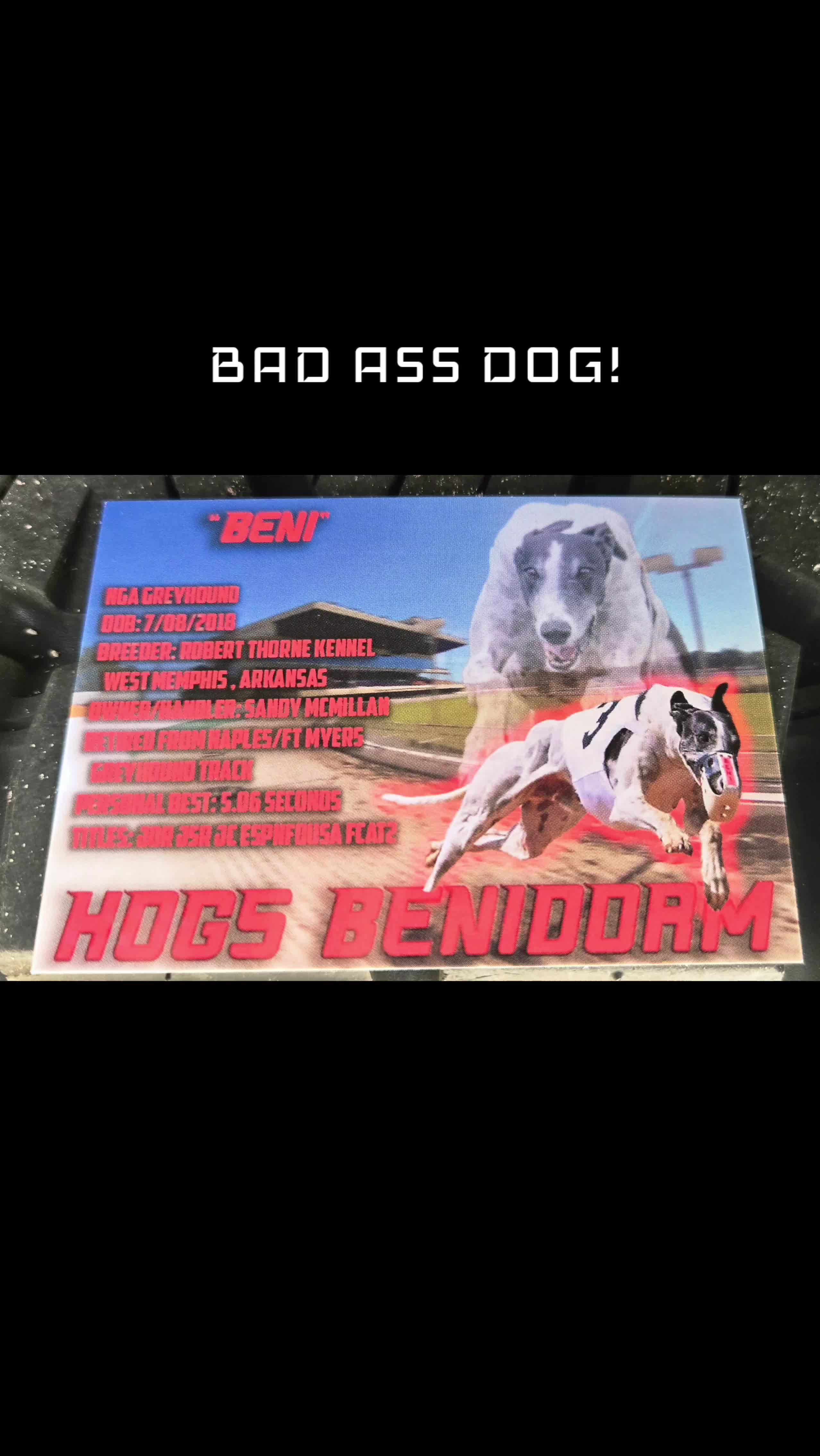 @BeniTheRetiredRacer