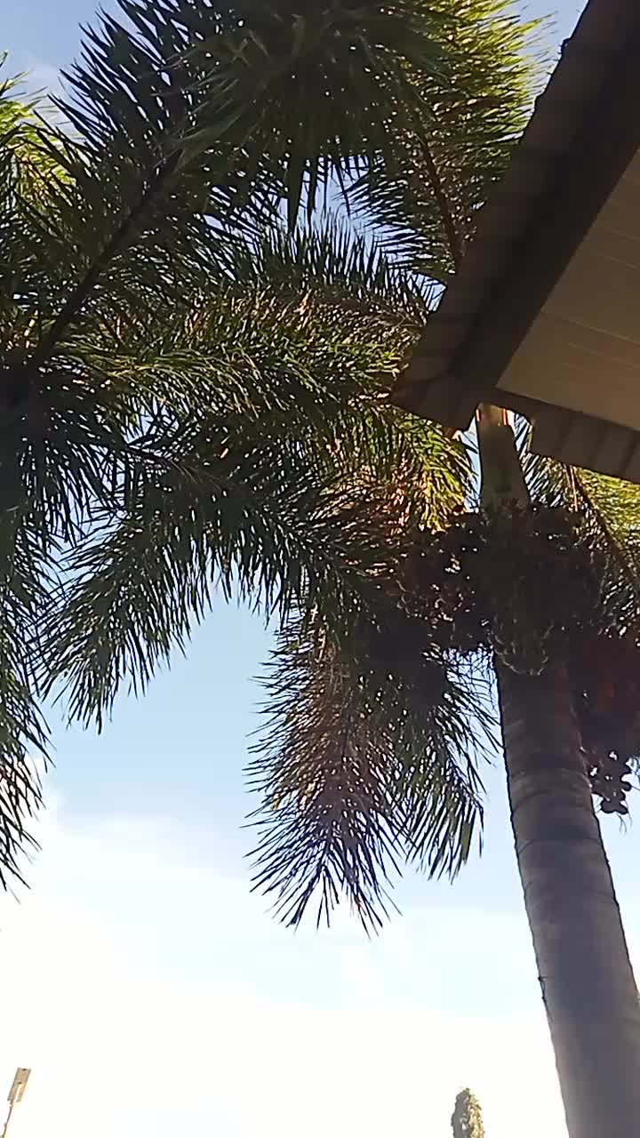 @Awinkangga65