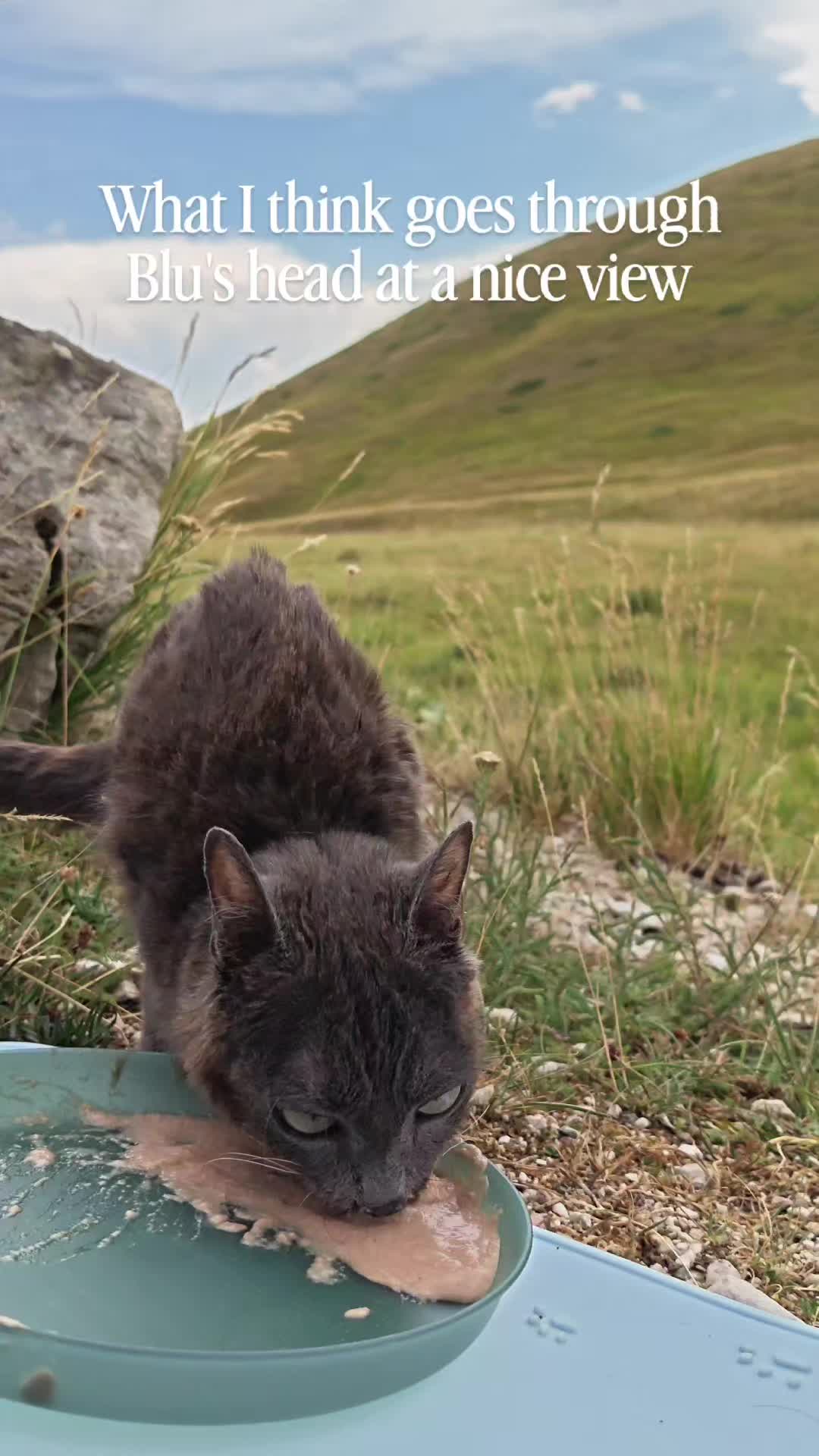 @blu_the_blep