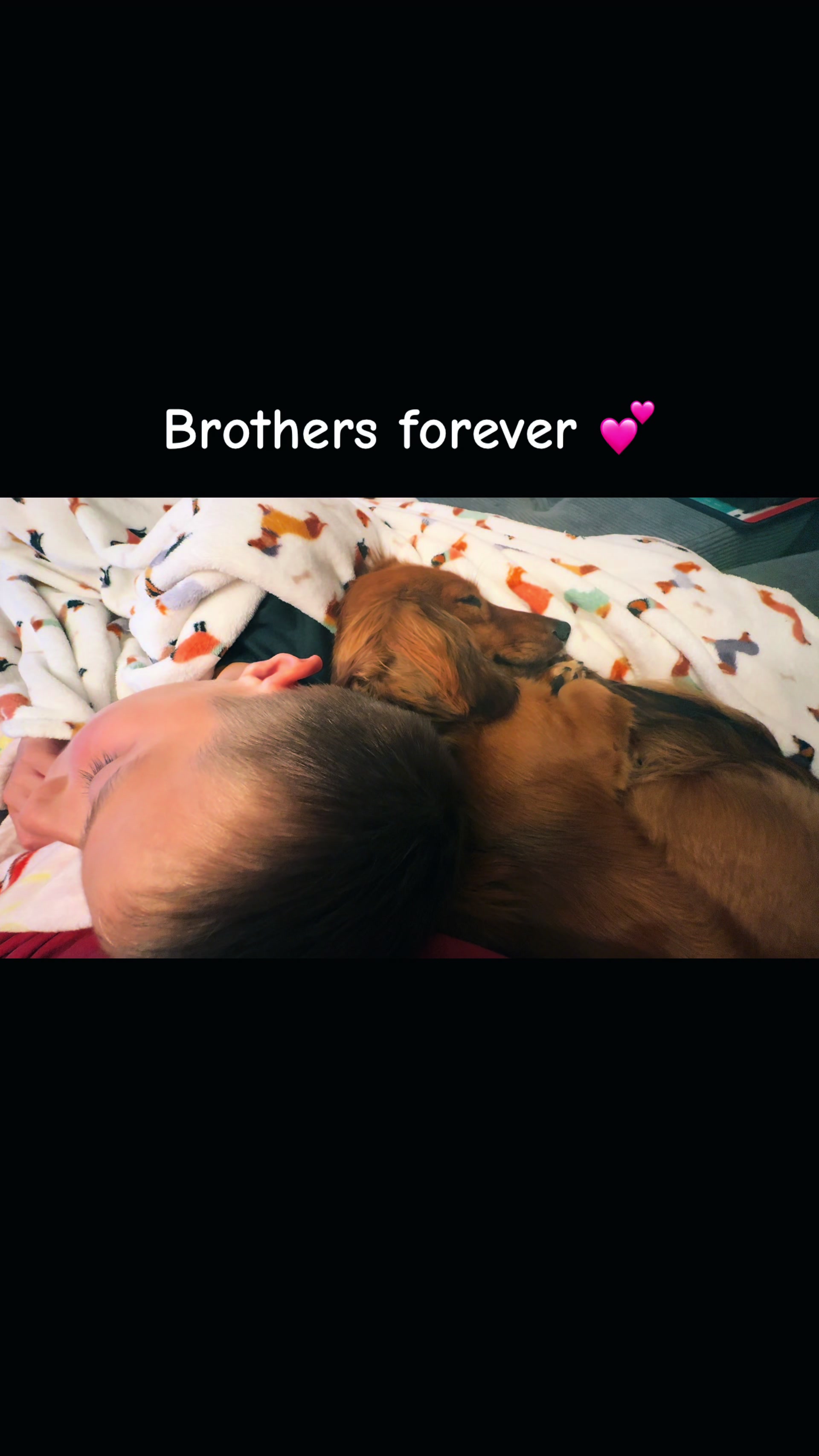@remi.the.mini.ween