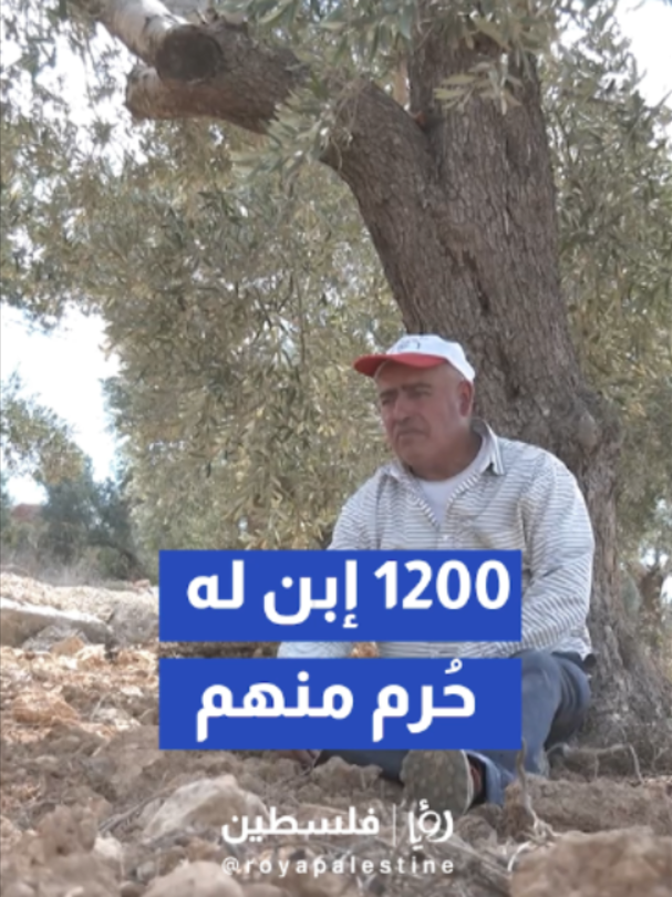 @Royapalestine رؤيا فلسطين