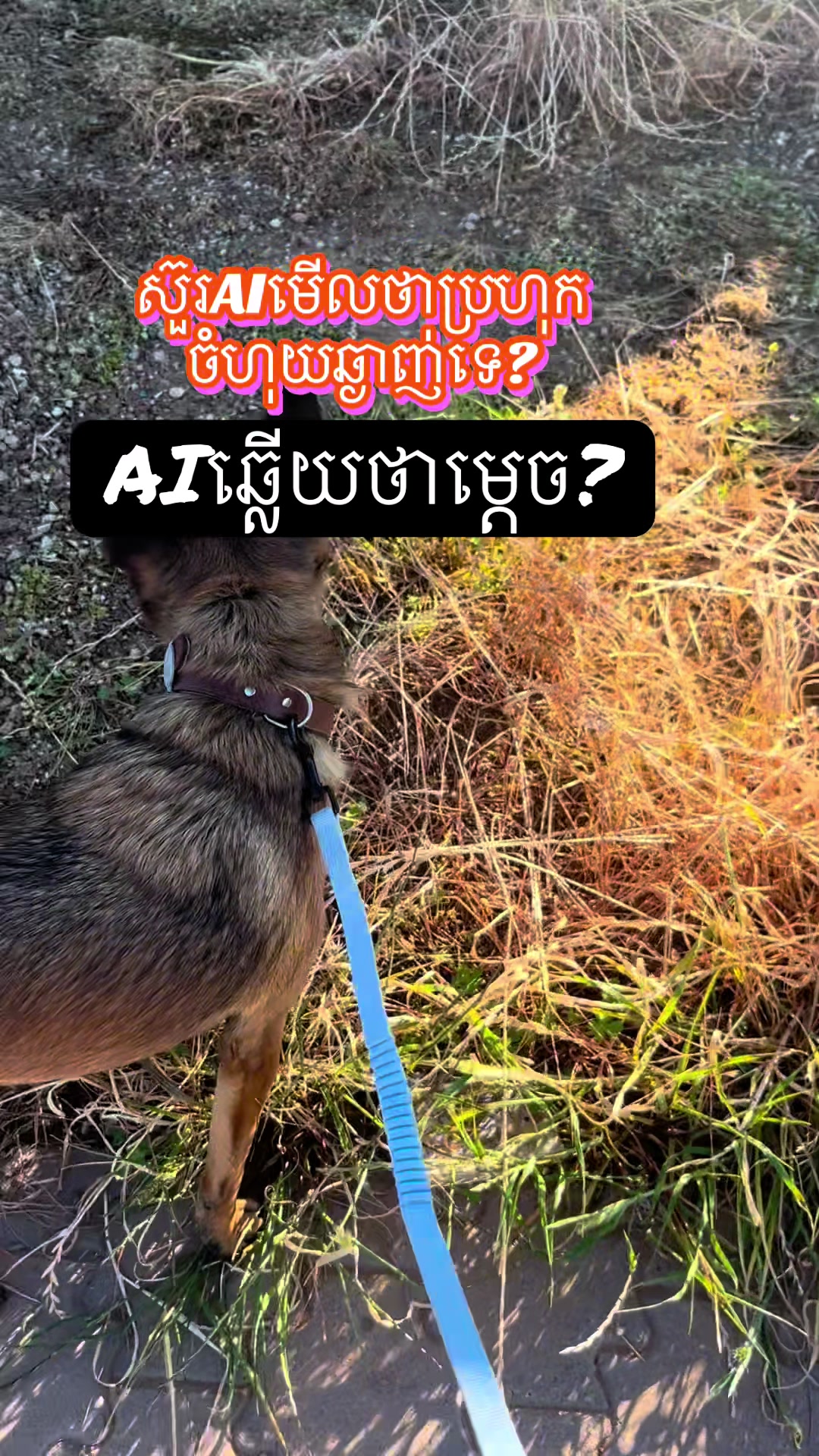@Seang khim pen