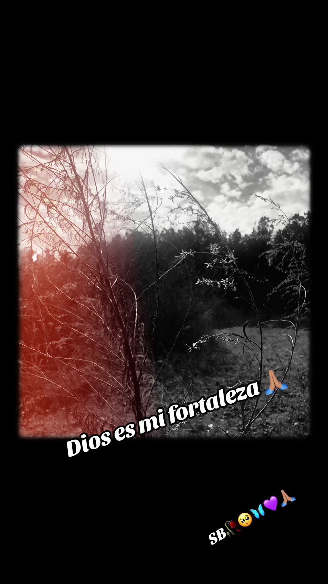 @Tity Bowen 🦋💜