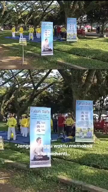 @Hoa Hải