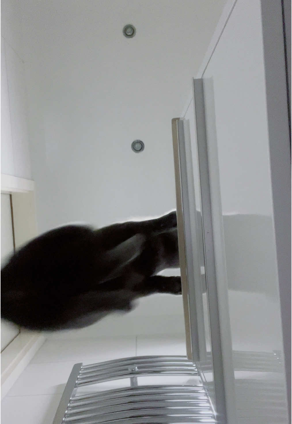 @๐๐โ๐พ ๐ธ๐๐ผ๐โ๐ฅ