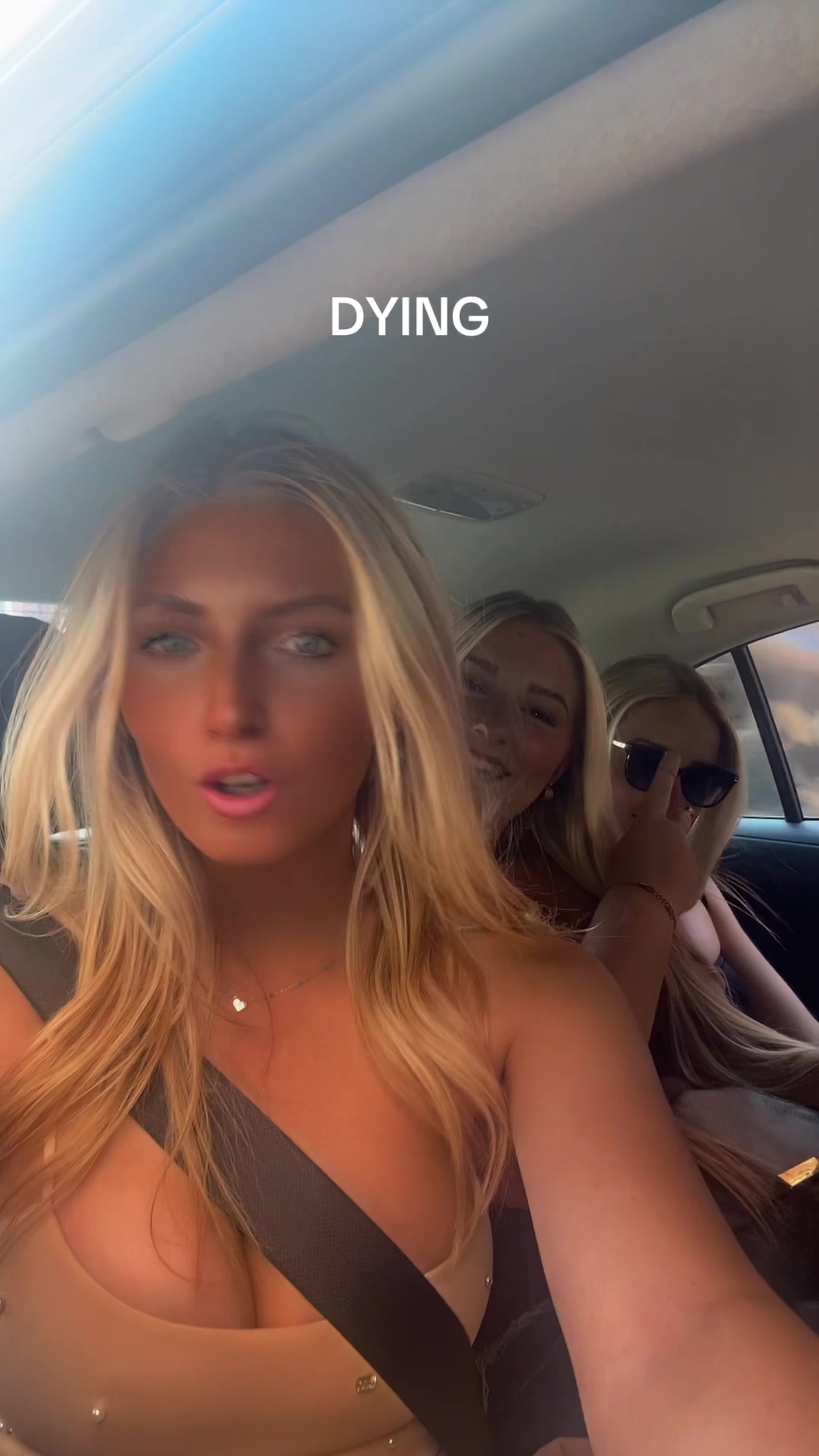 @sieciarax