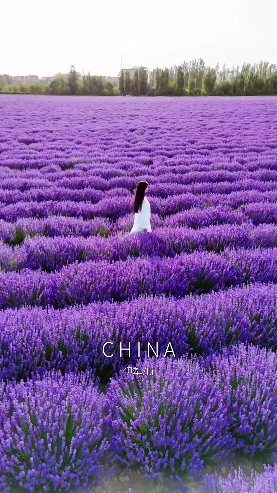@Poetic China