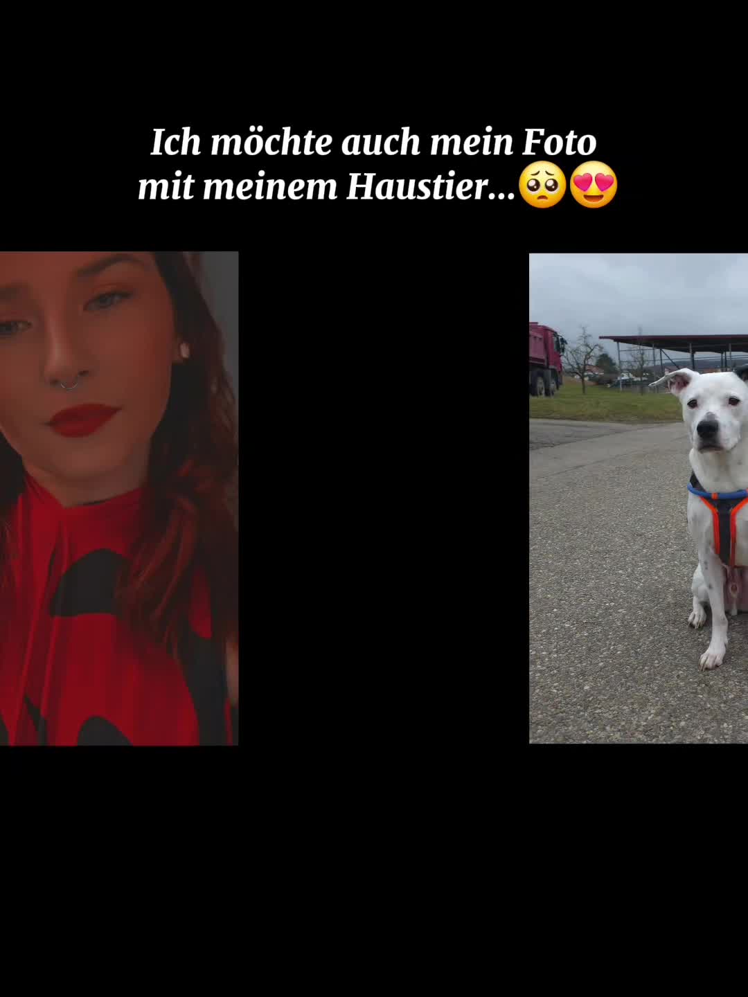 @frxnzis_live