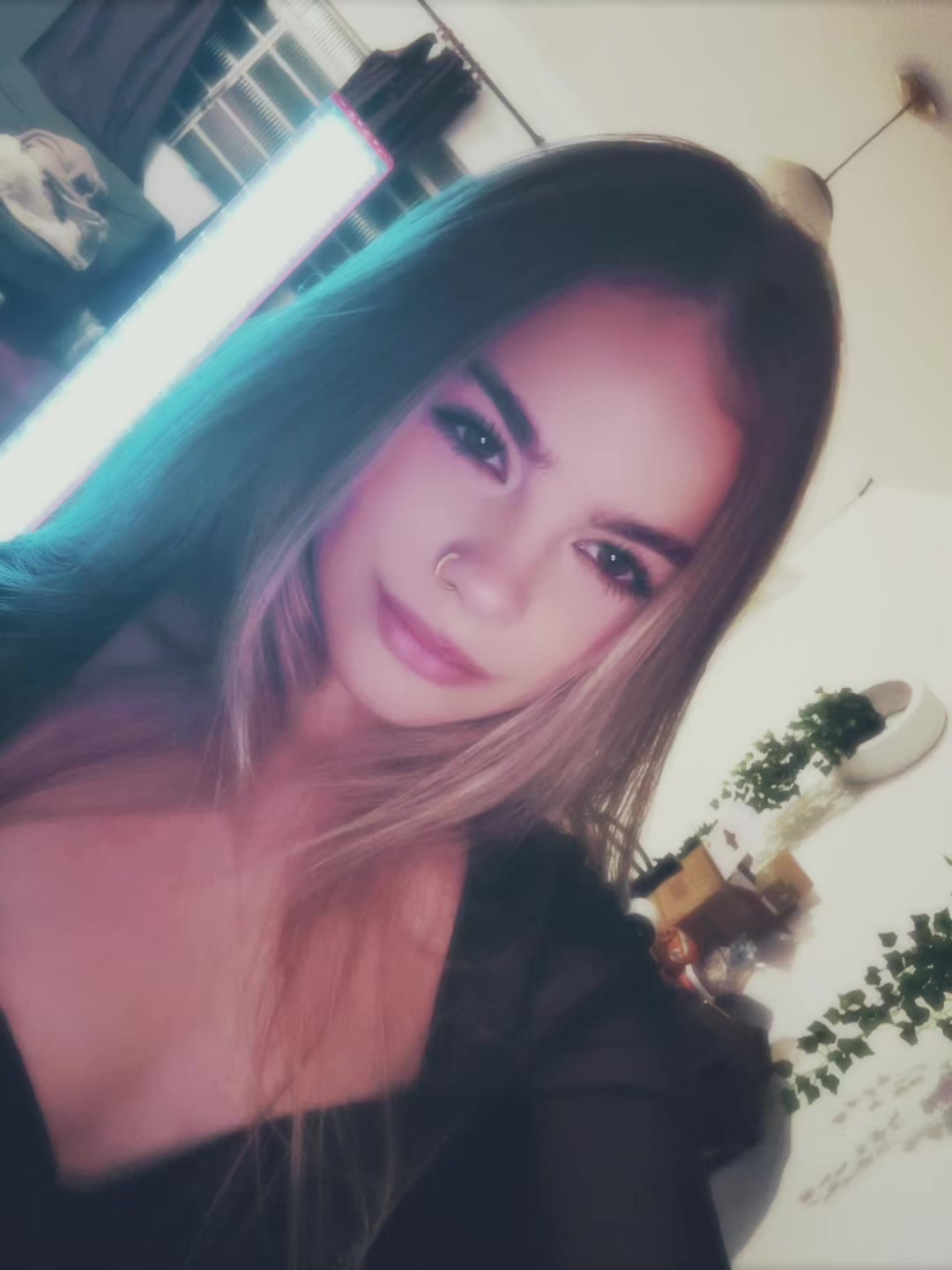 @zicolia