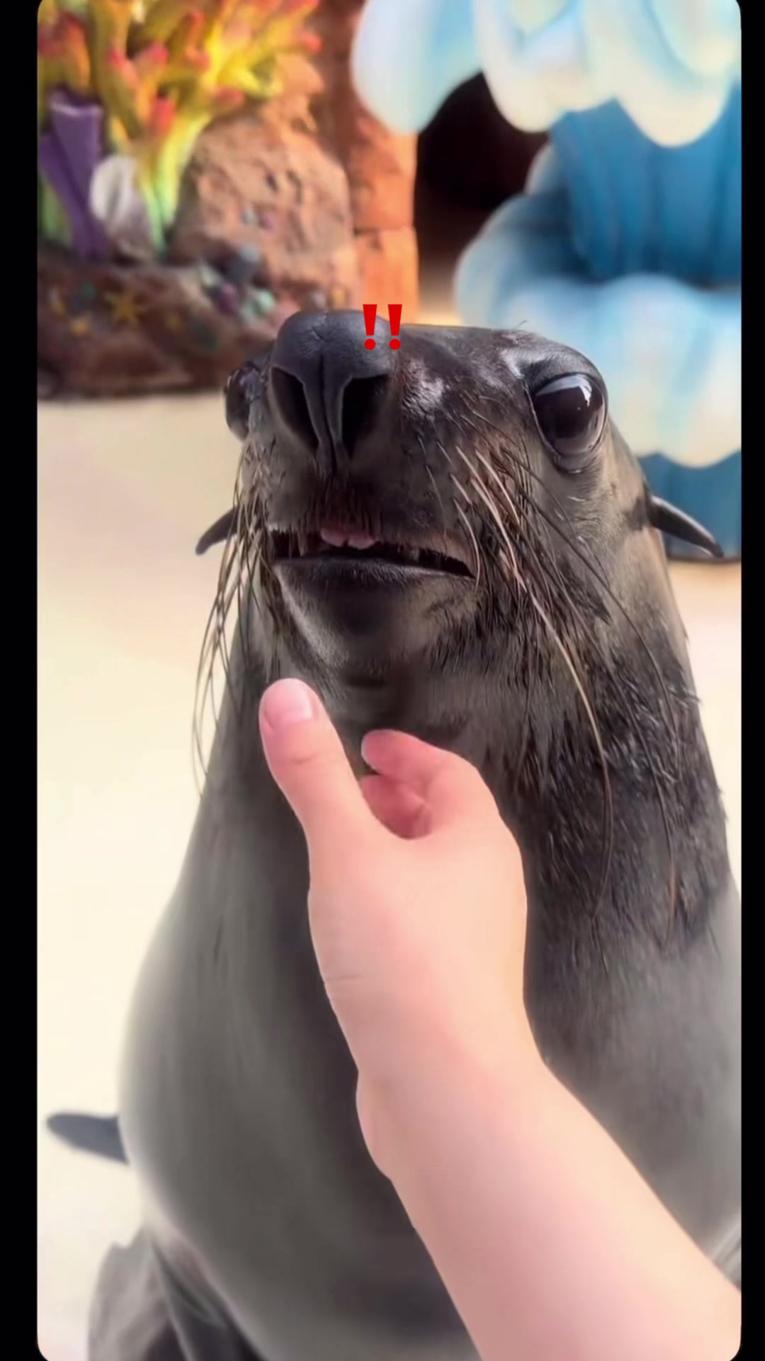 @dopaminezz_1