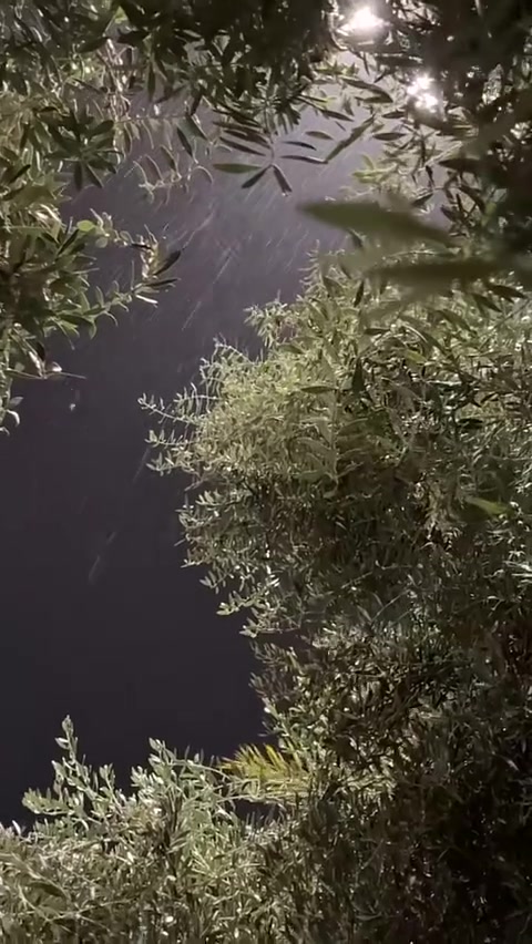 @N🎶