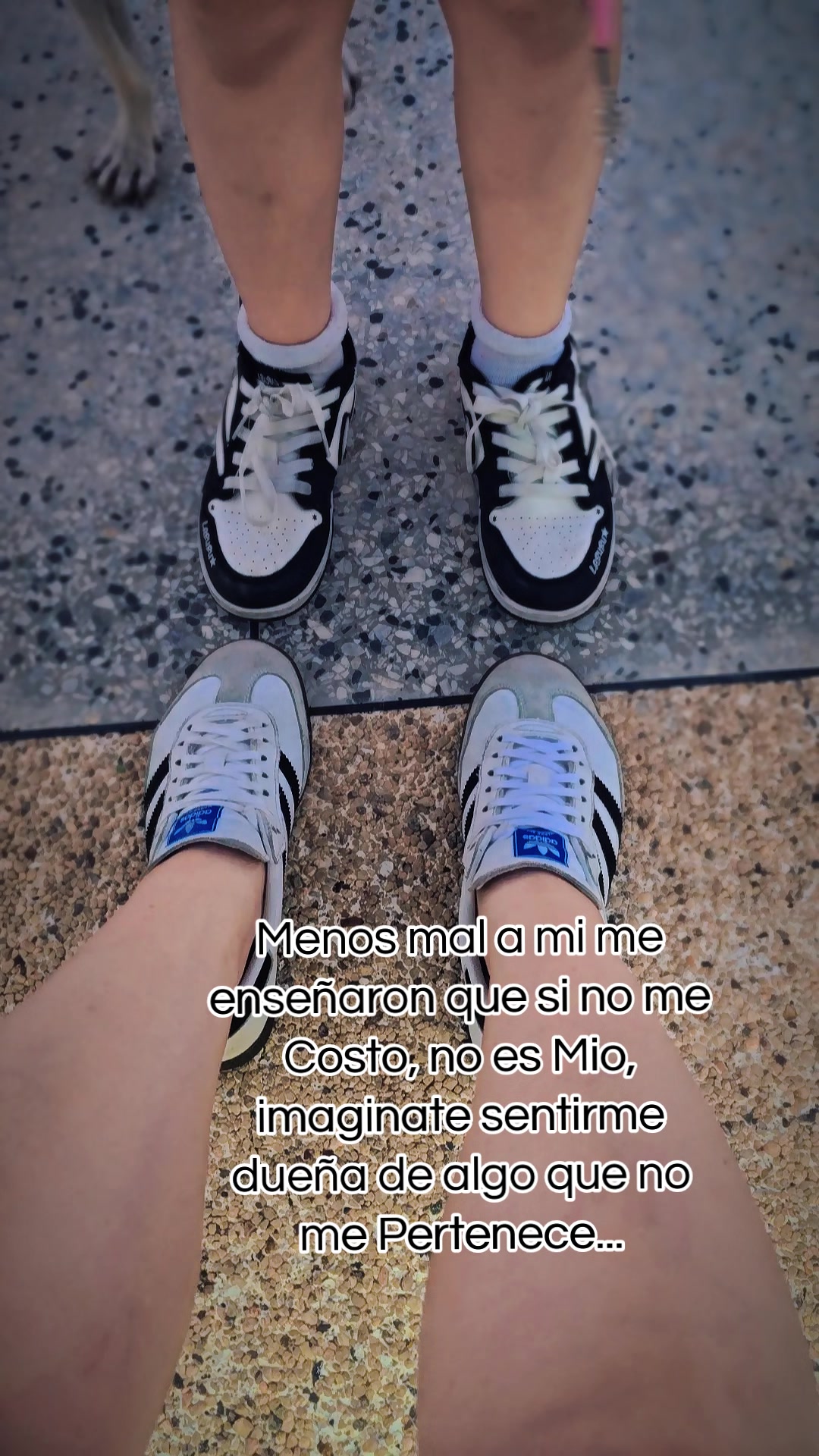 @Greys Whiteᥫ᭡.