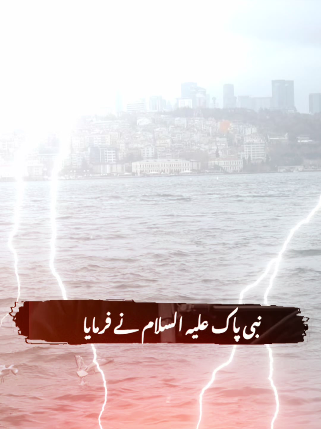 @✨ℍ𝕒𝕝𝕖𝕖𝕞𝕒 𝕂𝕙𝕒𝕟✨