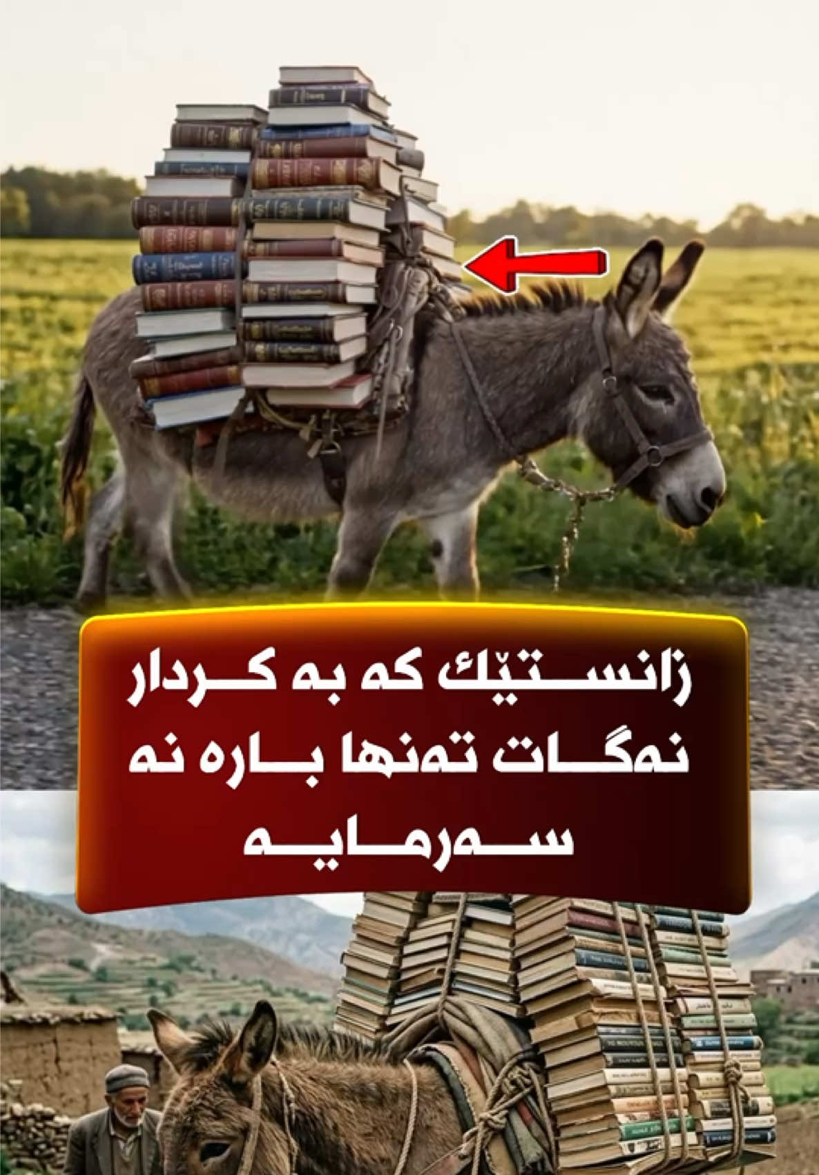 @جیگر هـــەركی🎤📺