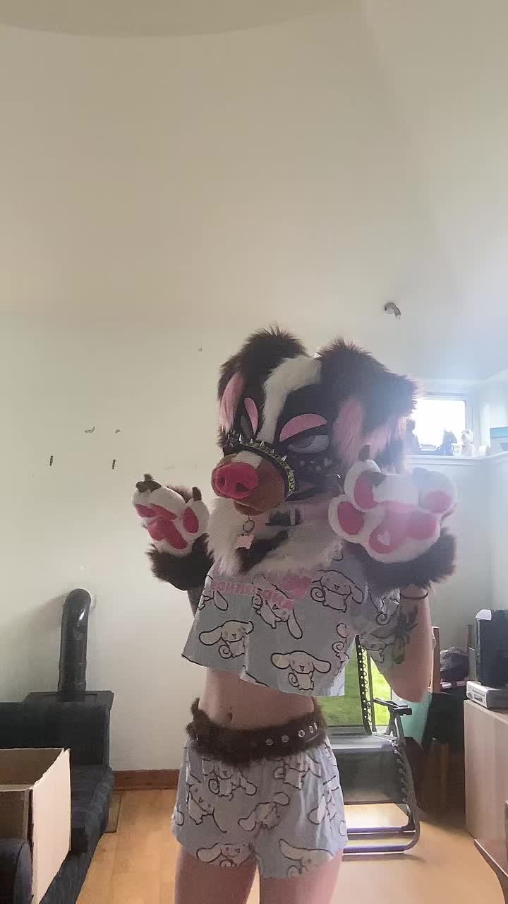 @✦⁺₊✩☽⋆𝓗𝓪𝓻𝓵𝓮𝔂⋆☾✩⁺₊✦