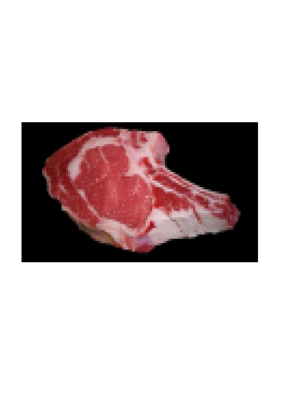 @ᧁꪖᧁ꠸