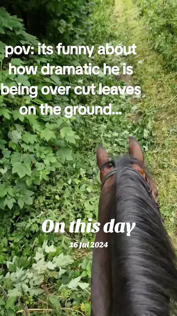 @WanderingWithWoody