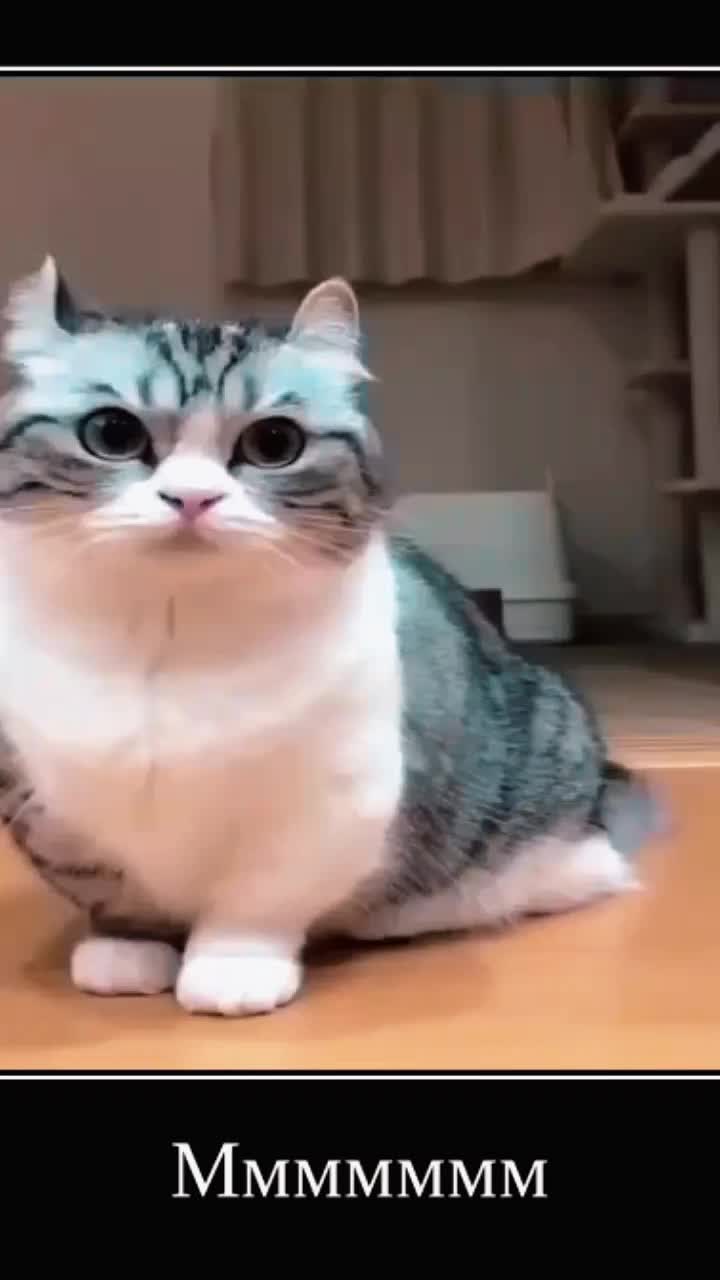 @KomaruSalt_AB