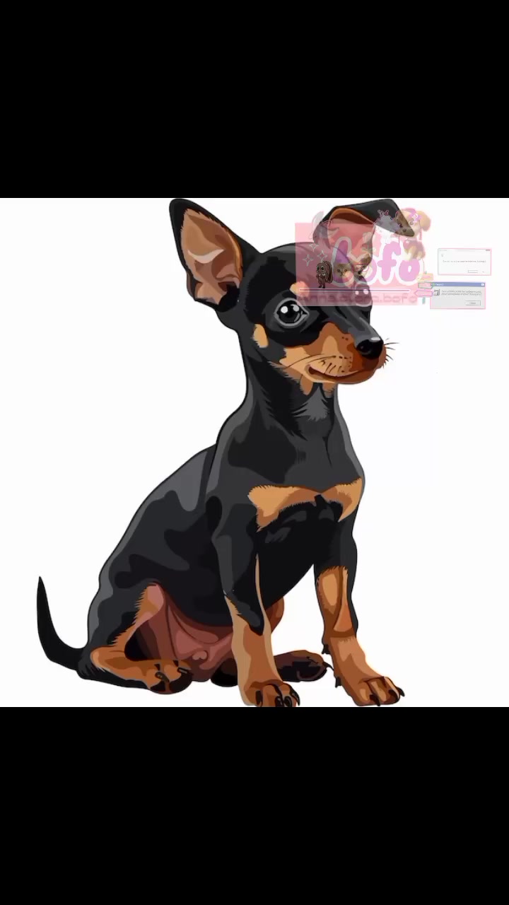 @‧˚꒰ 🐶taz rant🐾୭ ˚. ᵎᵎ