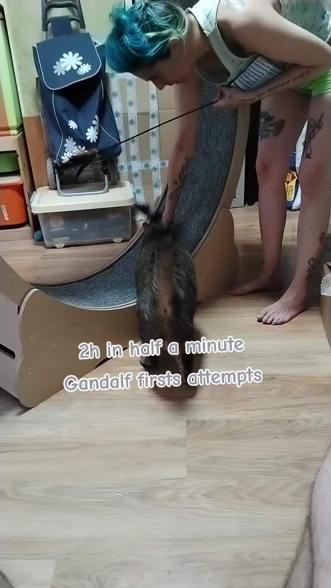 @Mon