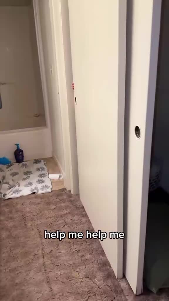 @Mentro