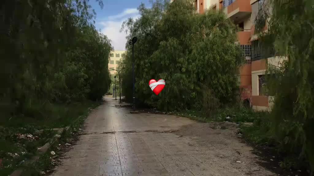 @🦇bilal_bilal🦇