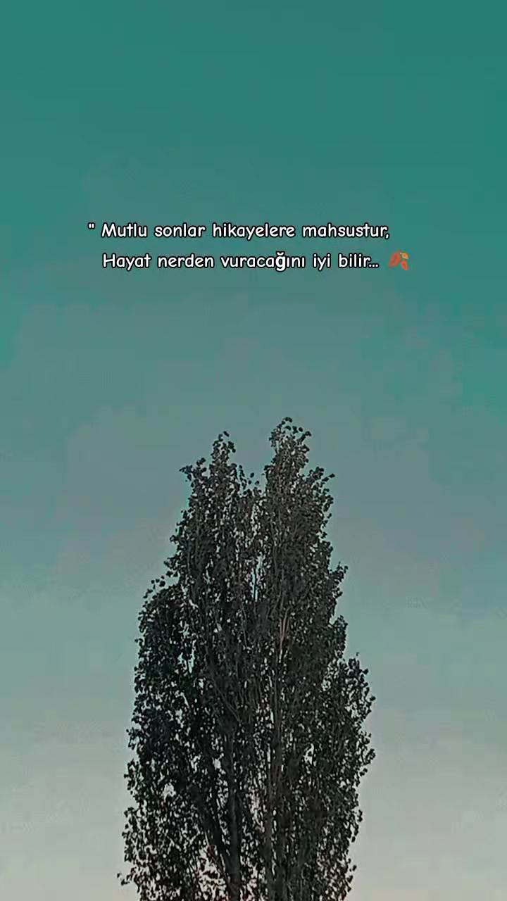 @🍂 ᴾᴼᵞᴿᴬᶻ 🍂