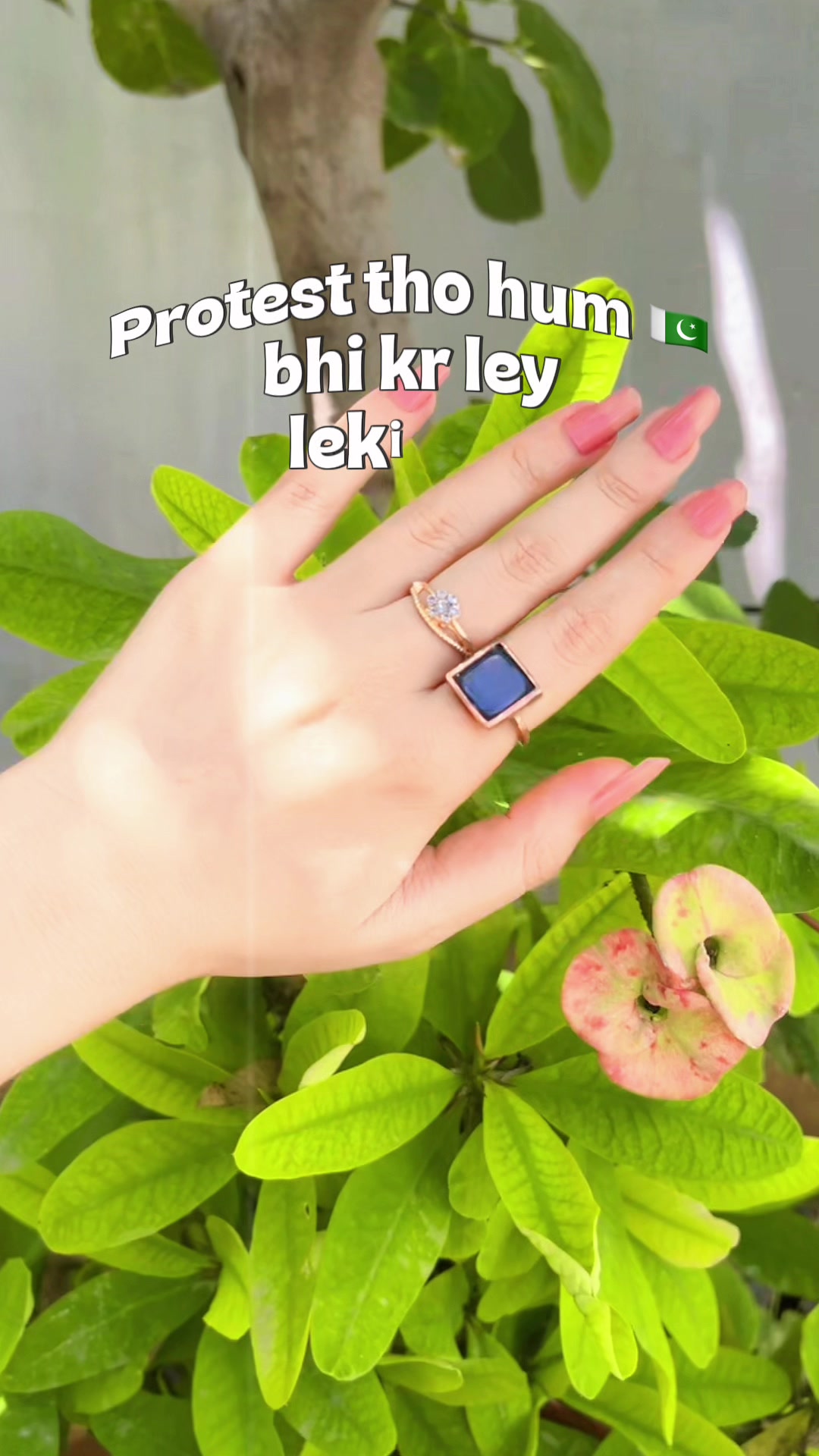 @زوجہ عمیر کیانی⚜️