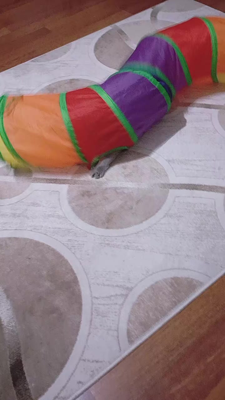 @evimizinbirtanesi