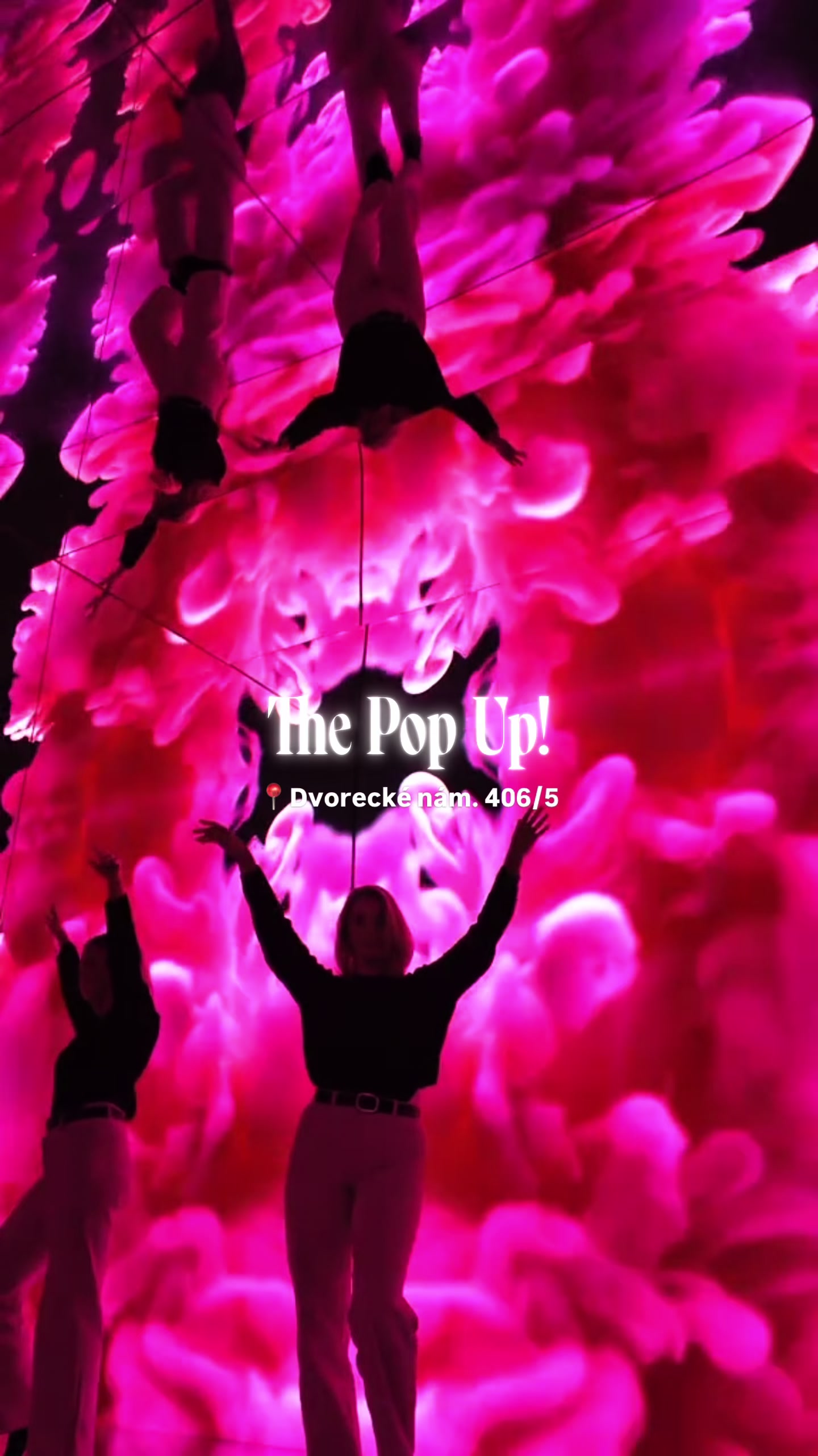 @thepopup