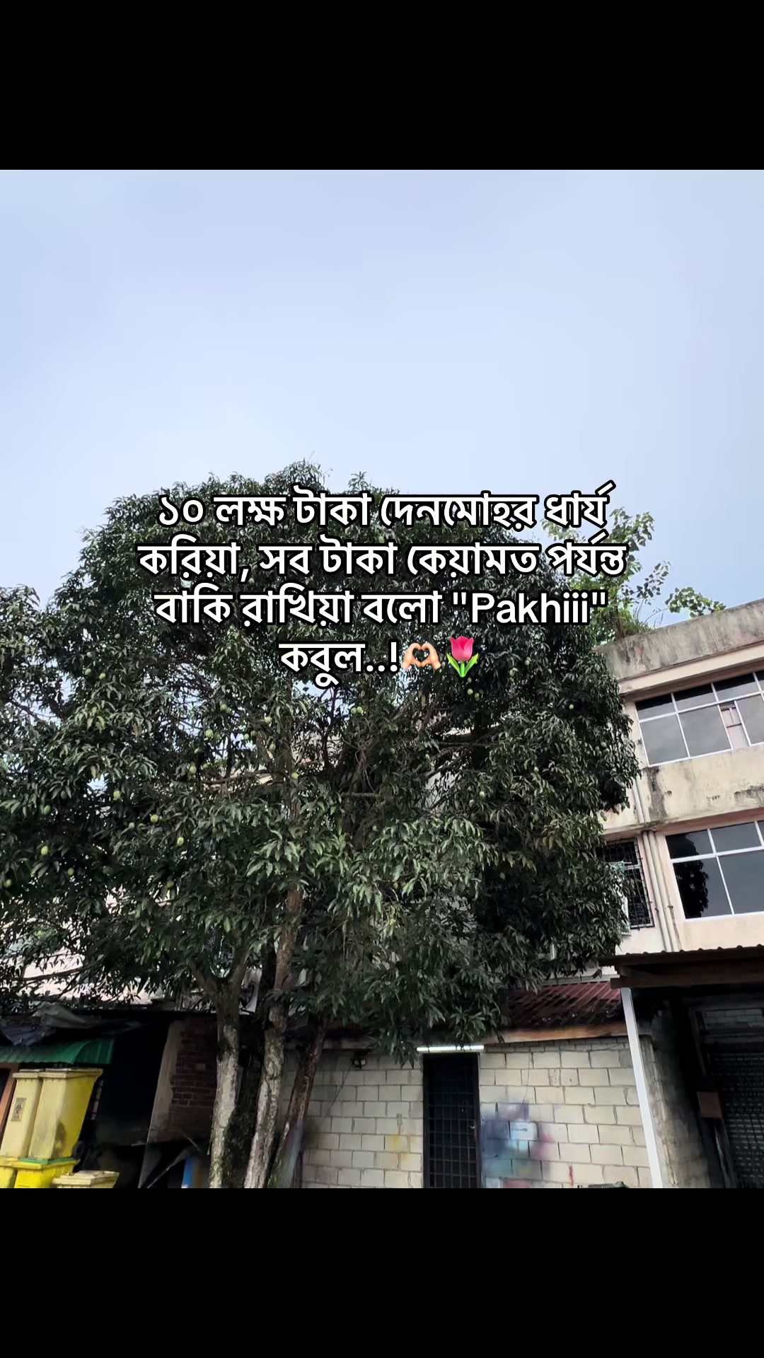 @đ° đĻ đ đ đ đ đ°'âĄ