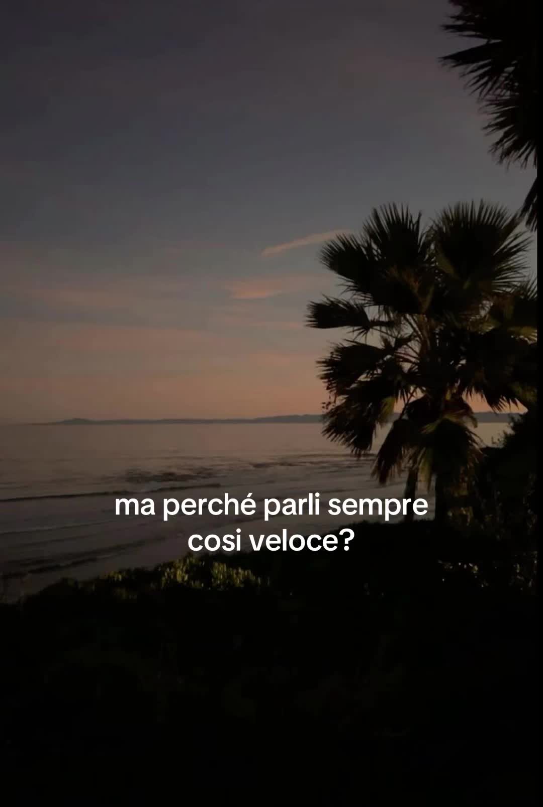 @cicotobbii