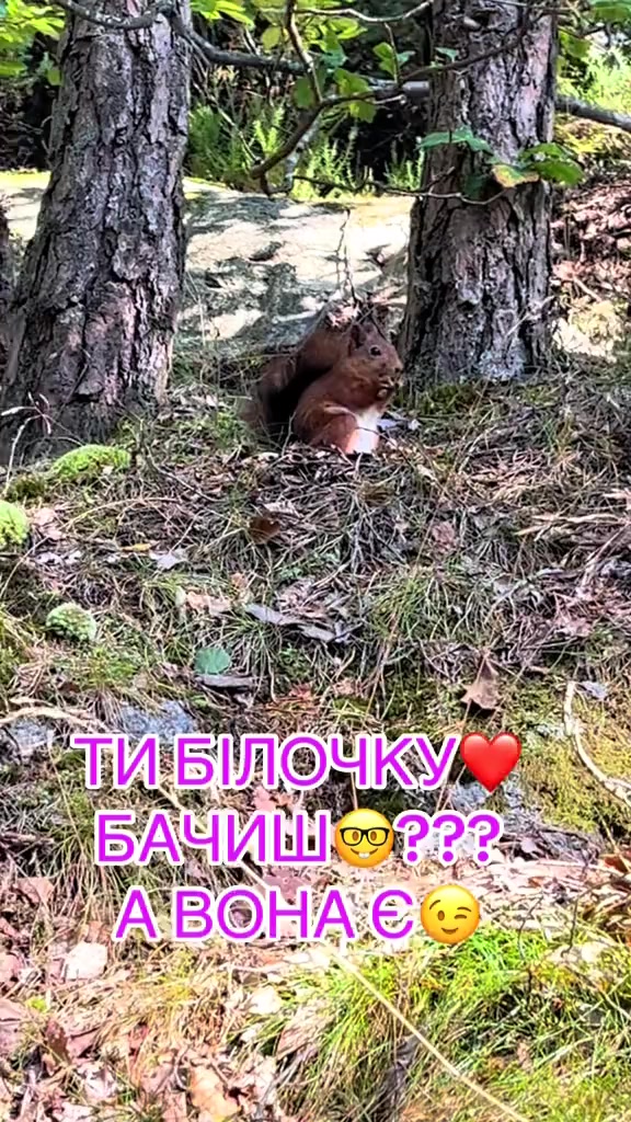 @SОЛОХА💛💙