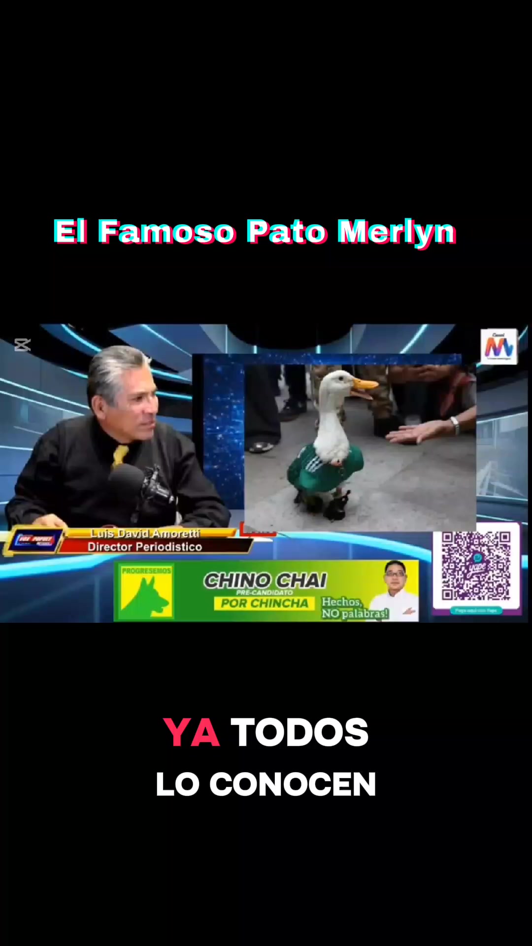 @Canal M/ Luis Amoretti