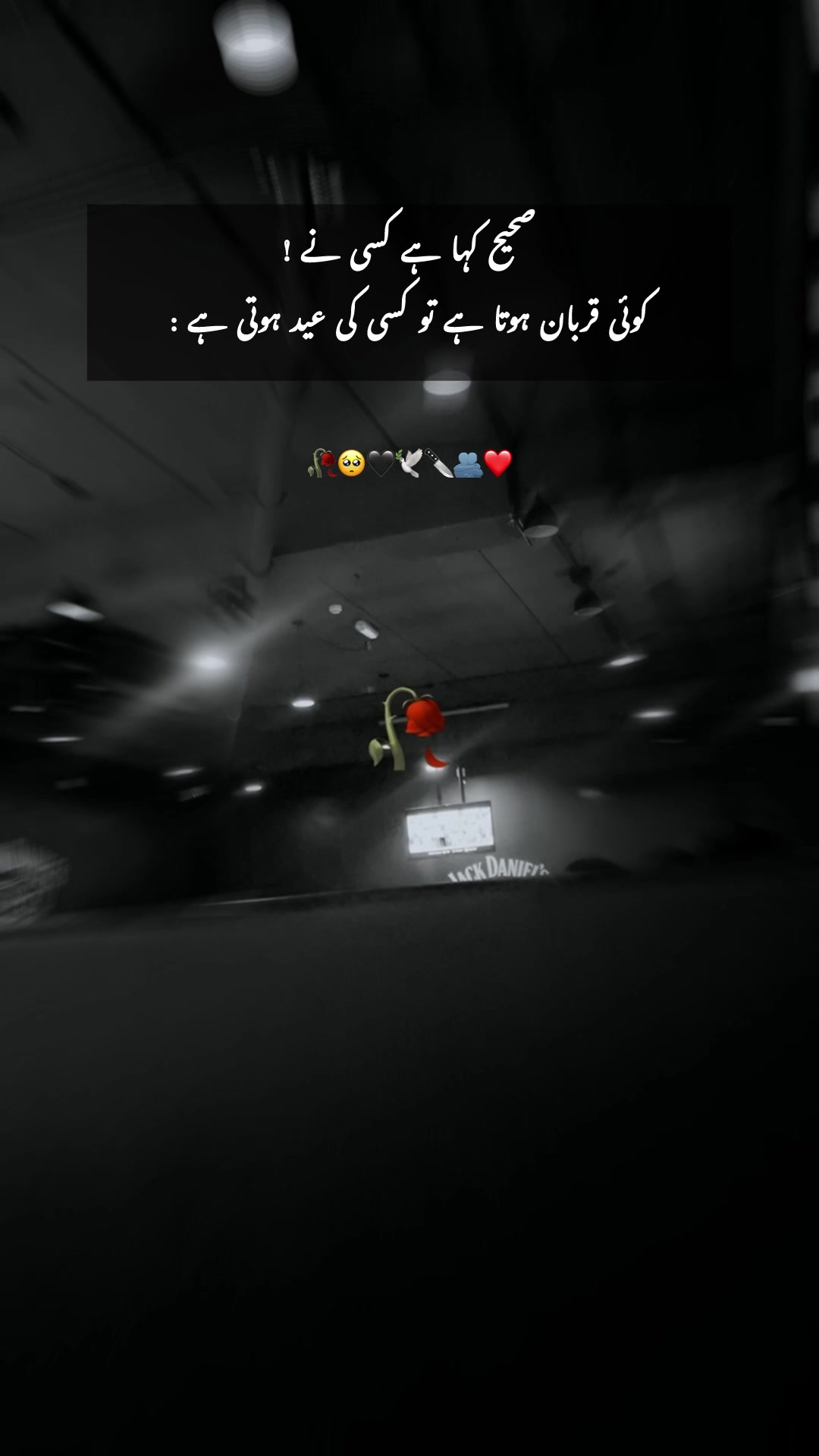 @🖤ᚔ سِیاہ بخت ᚔ🖤