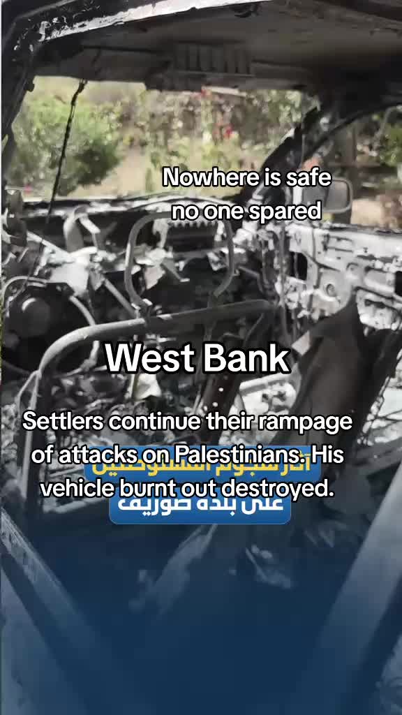 @Amina🇮🇪🇵🇸