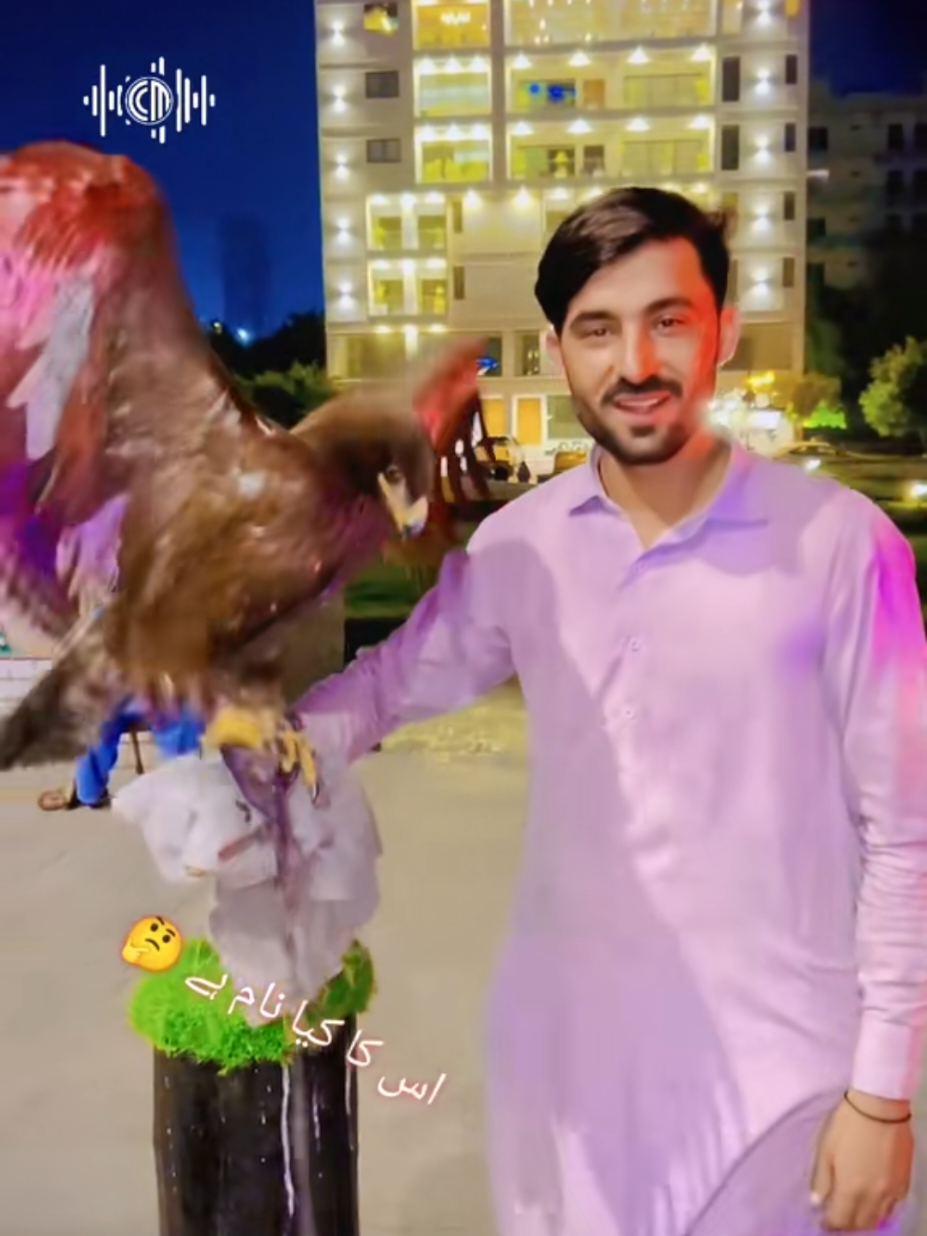 @Zaku Niazi 🇦🇫