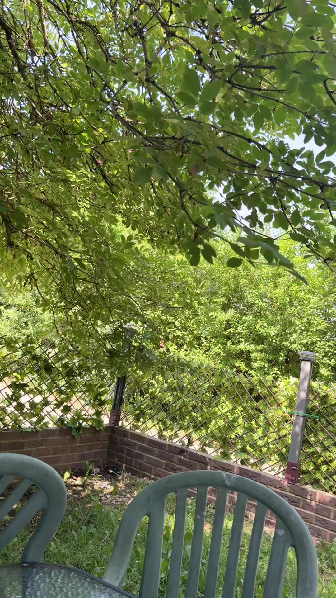 @Api ji UK 786 ❤️❤️🇬🇧🇵🇰