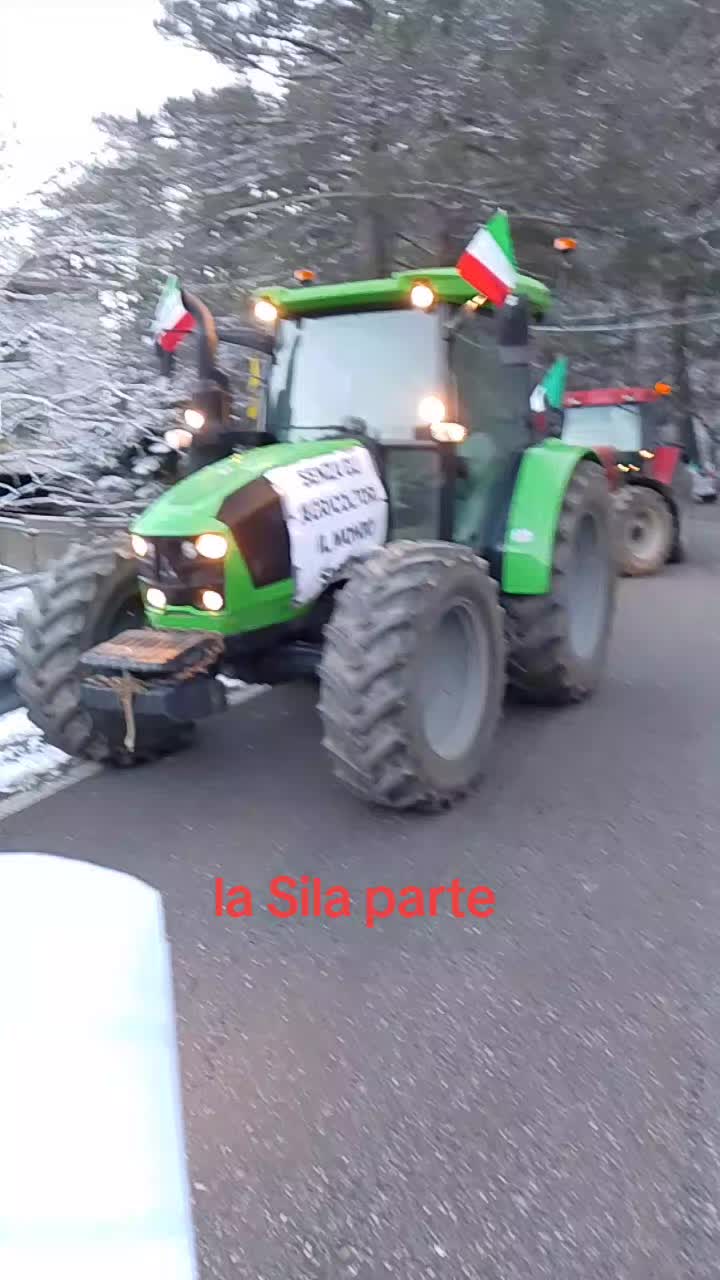 @IL Brigante della sila
